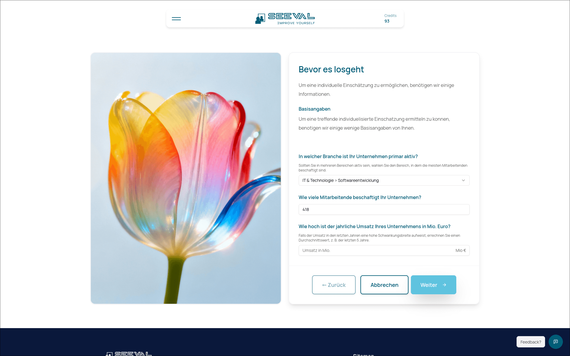 Anonyme Testversion